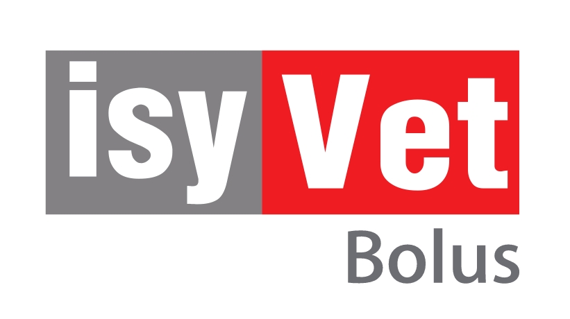 Isyvet